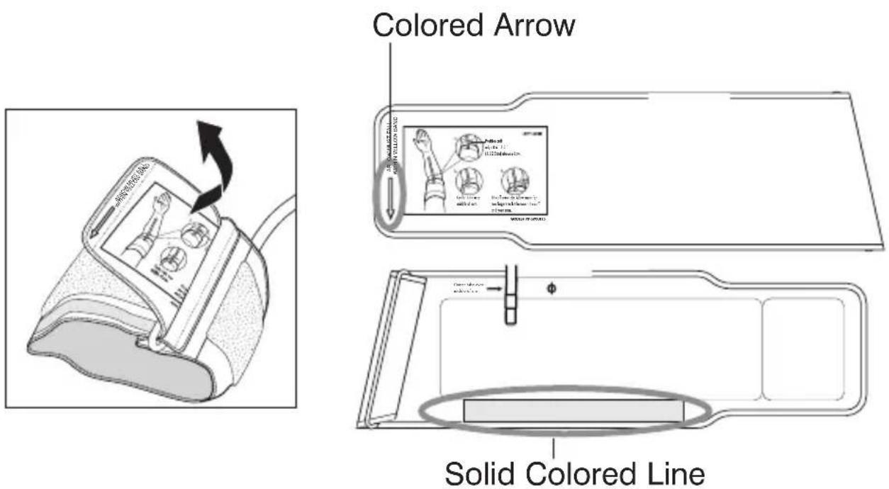 Colored Arrow Solid Colored Line
