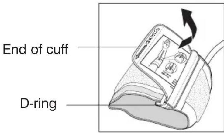 End of cuff D-ring