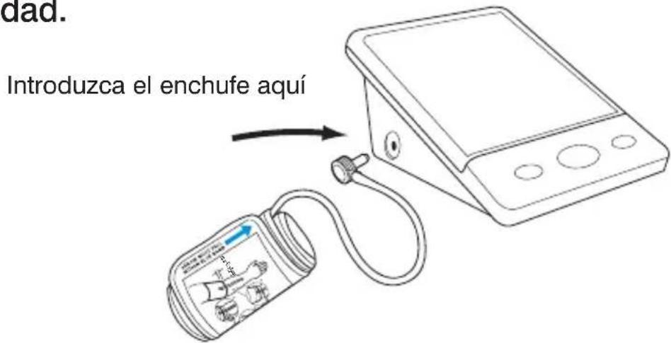 dad. Introduzca el enchufe aquí