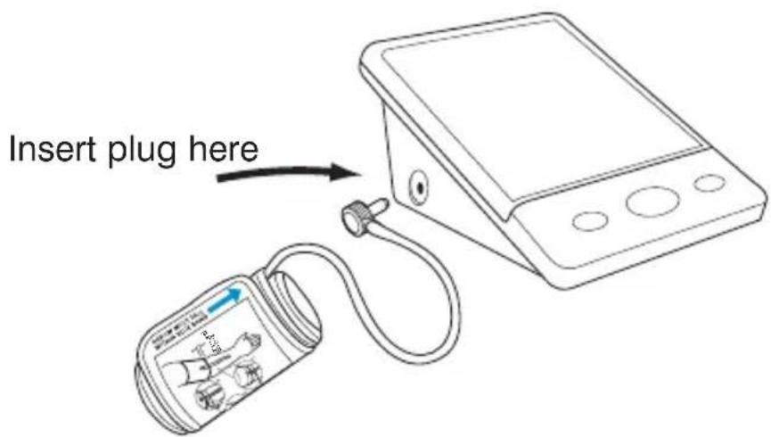 Insert plug here