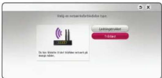 Vatig en nettoerkefjordskreden type: De kan bilatte til del bilteine network på marge nade; Leitungsstruktur Trästeart