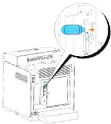 DELL 3110cn - Installation af Dell trådløs printer-adapter 3310 USB - 4