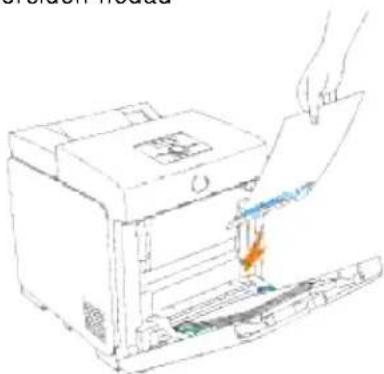 DELL 3110cn - I lægning af brevhoved - 2
