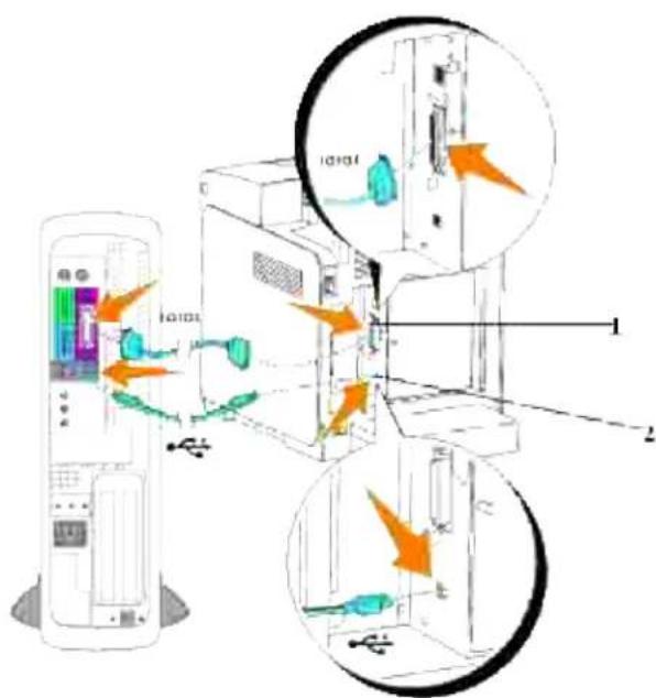 DELL 3110cn - Tilslutning af printeren lokalt - 1
