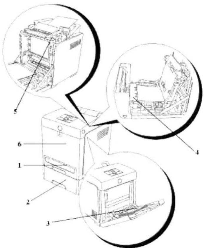 DELL 3110cn - Identifikation af stedet for papirstop - 1