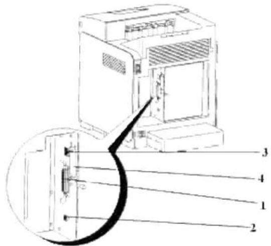 DELL 3110cn - Valg af det rigtige kabel - 1