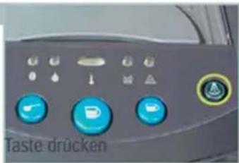 Eudora Palazzo - Funktion Vormahlen - 1