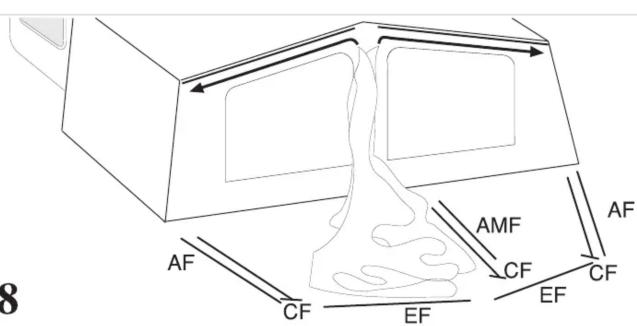 AF CF EF AMF CF EF CF AF 8