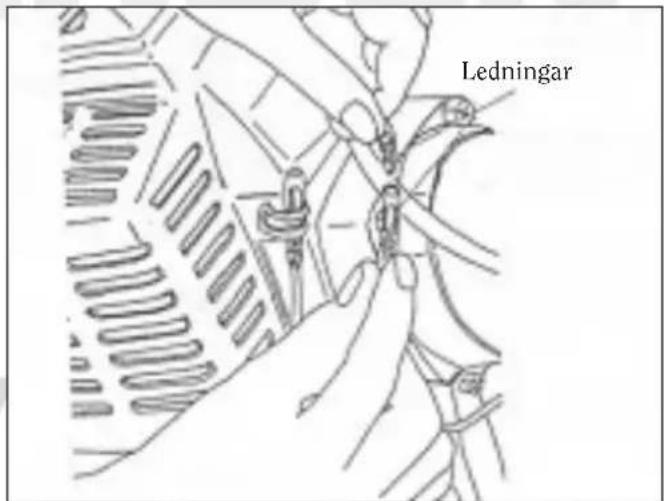 Ledningar