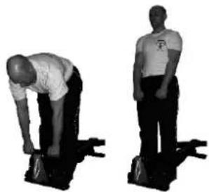 York Fitness Heritage R101 - Standing upright row - 1