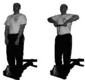 York Fitness Heritage R101 - Standing upright row - 2