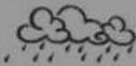 HAMA EWS-880 - Note - Weather forecast - 5