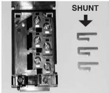 SHUNT
