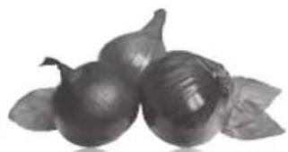 Black and white photo of two garlic bulbs with leaves (no text or symbols)