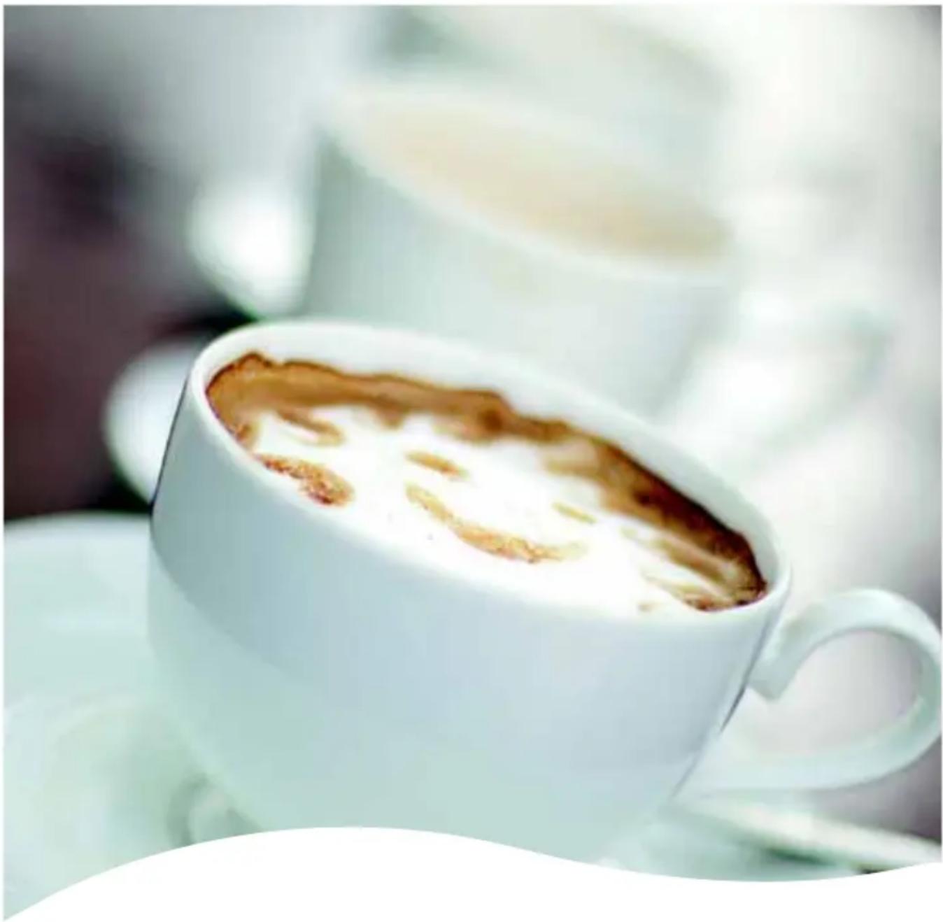 Caffitaly S14 - CAFFITALY SYSTEM CARE CONTACT - 1