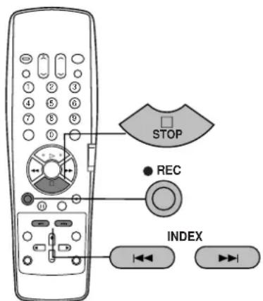 STOP REC INDEX