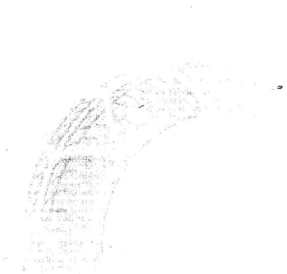 Scanned document with dense handwritten Chinese text, likely a formal letter or official record