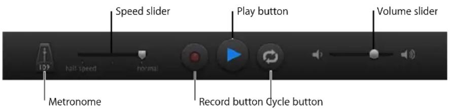 Speed slider Play button Volume slider 10% half speed normal Record button Cycle button Metronome