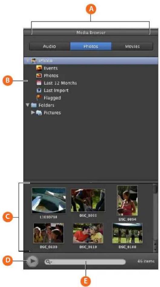 Media Browser Audio Photos Movies iPhoto Events Photos Last 12 Months Last Import Flagged Folders Pictures L1010738 DSC_0055 DSC_0094 DSC_0130 DSC_0110 DSC_0188 45 items