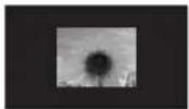 EPSON EMP-TW620 - Auto - 9