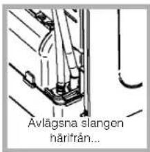 Avlägsna slangen härifrån...