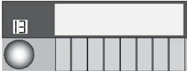 13