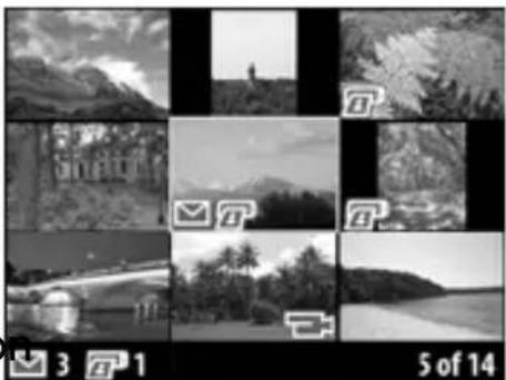 Grid of black-and-white landscape photos including mountains, trees, rivers, and a bridge (no text or symbols)