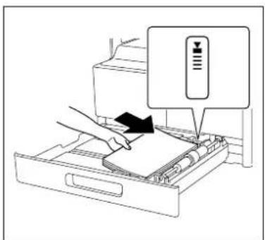 KONICA MINOLTA Bizhub 164 - Fjernelse af papirstop ved papiroptagningssektionen - 2
