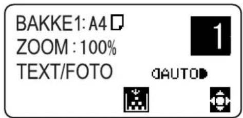 BAKKE1: A4 ZOOM : 100% TEXT/FOTO 1 OAUTO