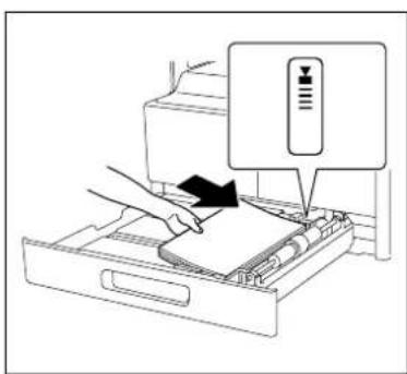 KONICA MINOLTA Bizhub 165 - Sådan ilægges papir i Bakke 1 - 2