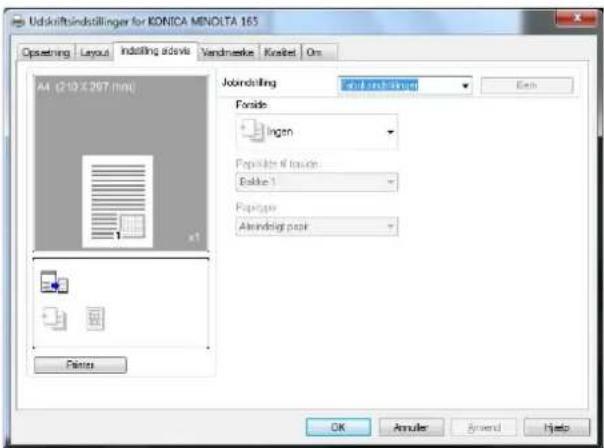 Udkriftsindstillinger for KONICA MINOLTA 165 Opsetring Layout Indating adds Vandmeike Knabel On A4 (210 x 287 mm) File Edit View Insert Forside Ingen Possible if issues: Exhibit 1 Paragraph Atrendigt past Finish OK Amuler Anwend Help