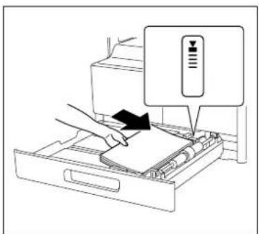 KONICA MINOLTA Bizhub 165 - Fjernelse af papirstop ved papiroptagningssektionen - 2