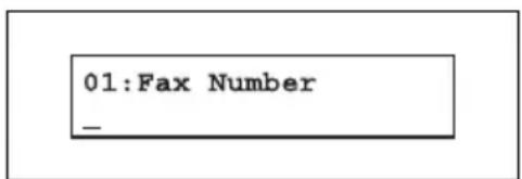 01:Fax Number _
