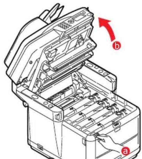OKI C3530 - ......LED-HOVED - 2