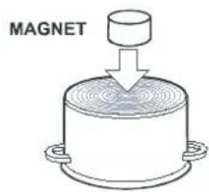MAGNET