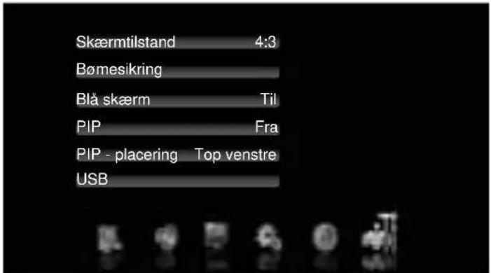 Prosonic B19F6D - SETUP MENU - 1