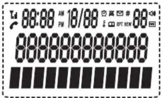 Tel: 08:00 AM 19/00 # 88 PM RPT NEW 0000000000000