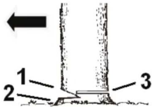 1 2 3