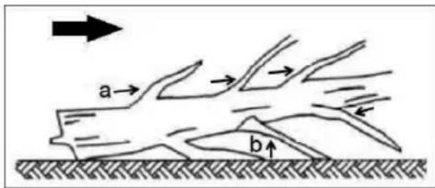 a b