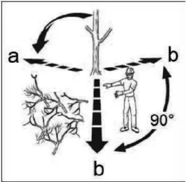 a b 90° b