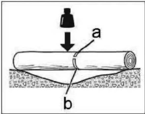 a b