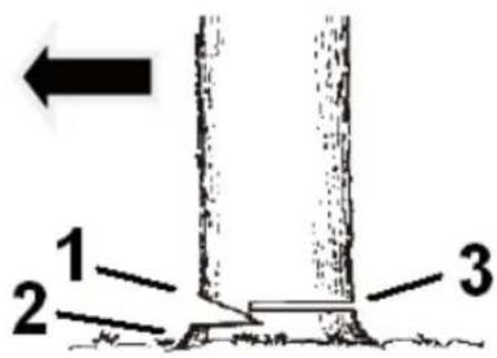 1 2 3