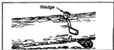 Wedge