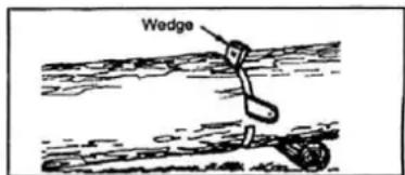 Wedge