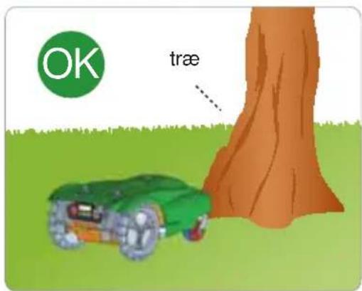OK træ