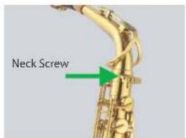 Neck Screw
