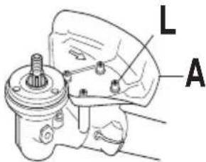 L A