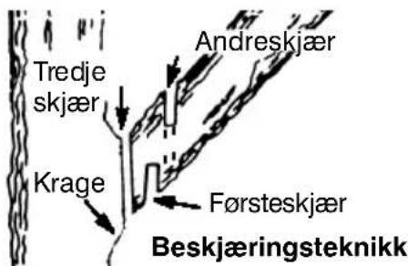 JONSERED 2040 - BESKJÆRING - 1