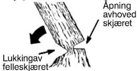 JONSERED 2036 - LAGEFELLESKJÆROGFELLE TREET - 2