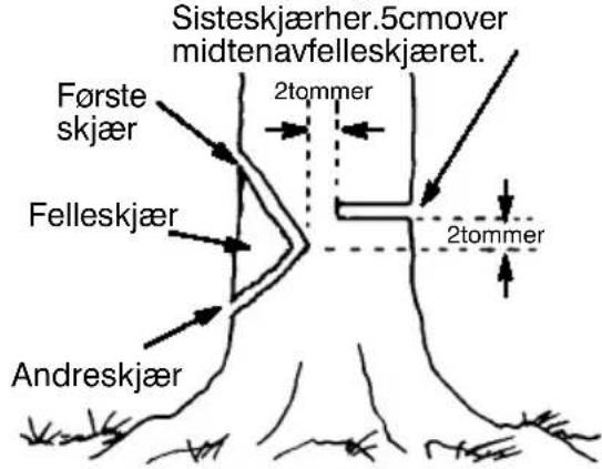 JONSERED 2036 - LAGEFELLESKJÆROGFELLE TREET - 1